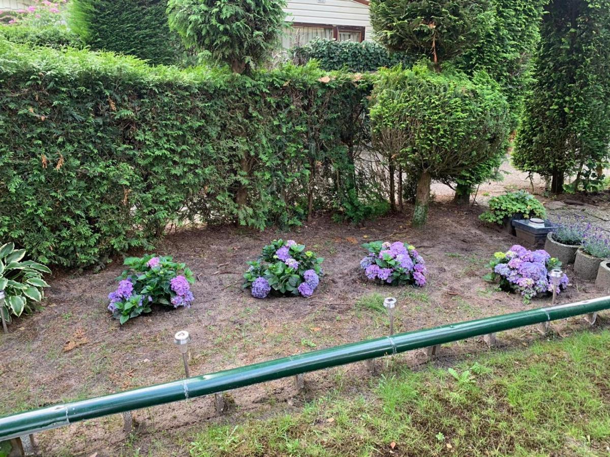 Cottage house Putten Εξωτερικό φωτογραφία